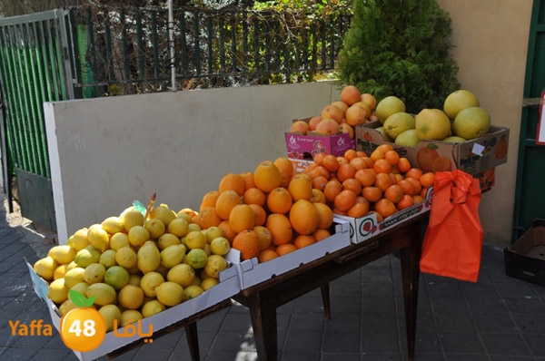 markaz khodare 3 (3).JPG